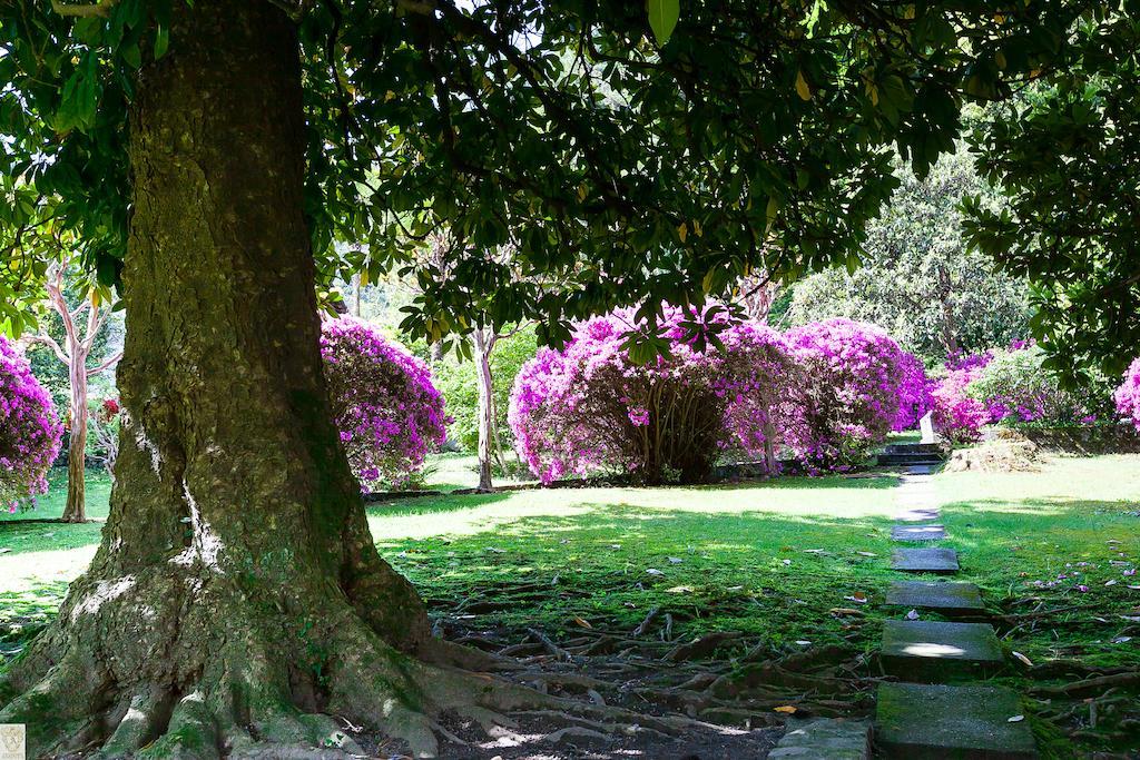 Hotel Villa E Palazzo Aminta Stresa Eksteriør billede